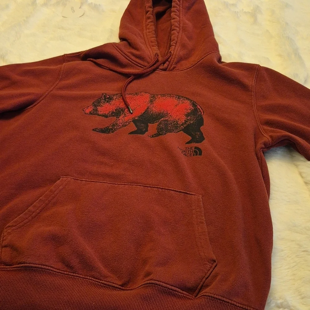The Nortface TNF Hoodie Red Brick.SizeTag Missing. Pit To Pit:22.5